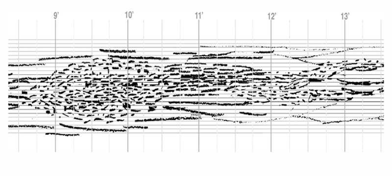 Drawing: Chiyoko Szlavnics