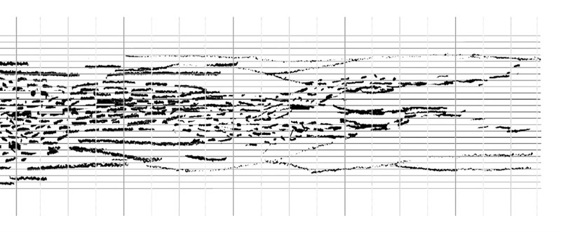 Drawing: Chiyoko Szlavnics